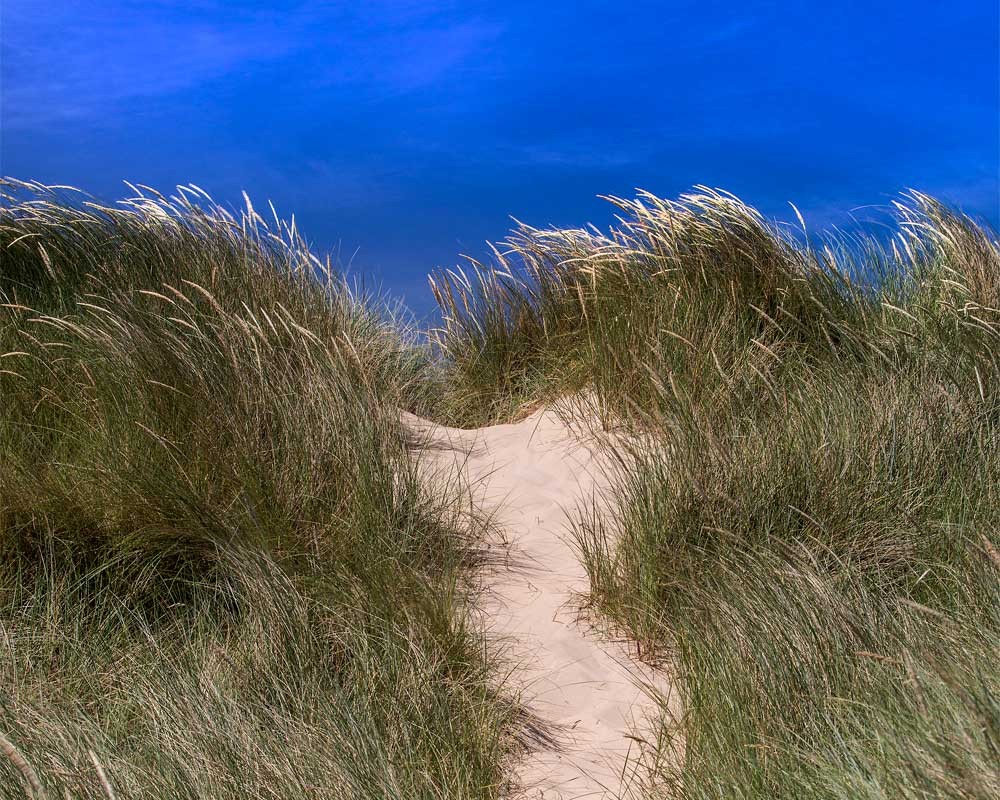 Holkham Beach Sand Dunes